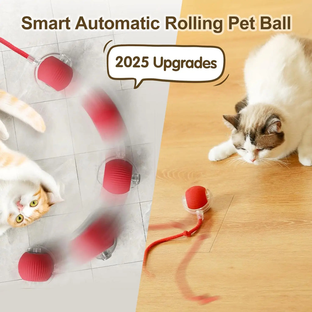 Rechargeable Smart Pet Interactive Toy