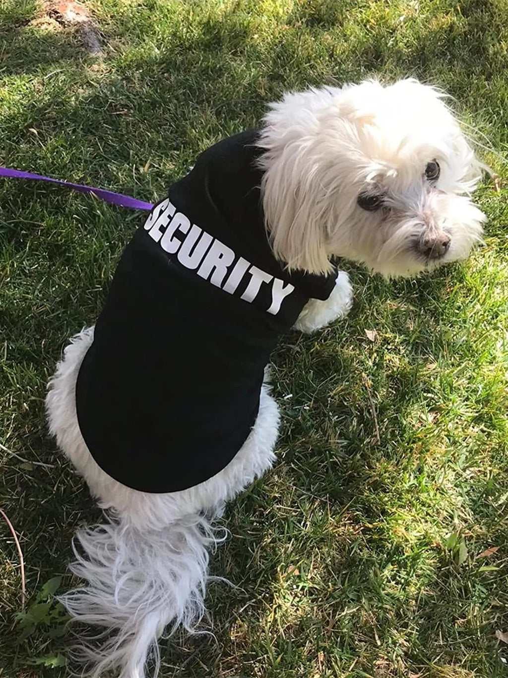 Pet T-shirt with the word Security on it