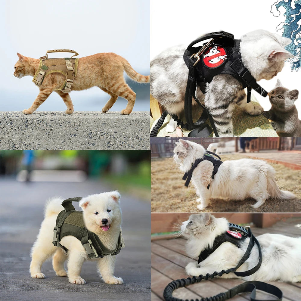 Tactical Cat Harness For Walking
