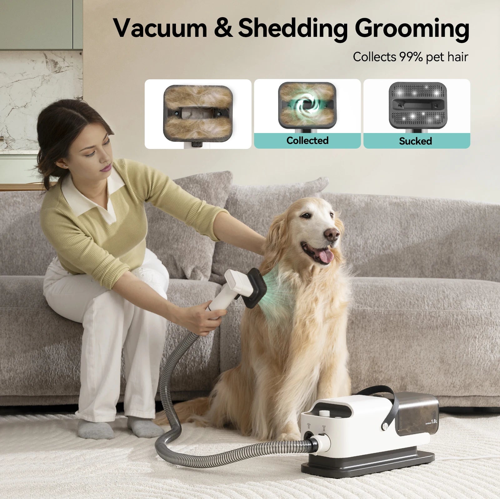 Pet Grooming, Vacuum Cleaner & Hair Dryer