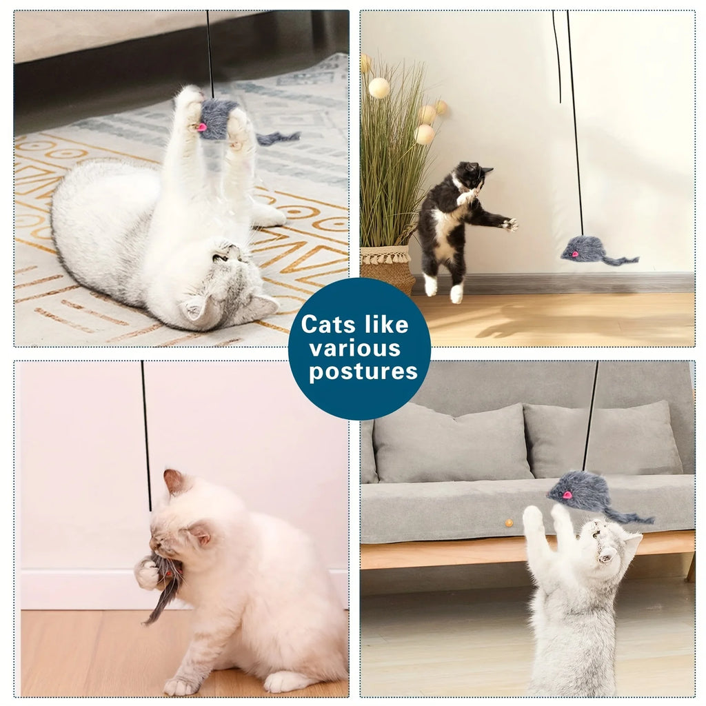 Cat Door Hanging Toy Stress Relieve