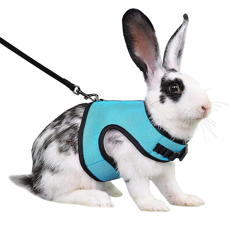 Pet Harness Rabbit with Leash in muti-colors