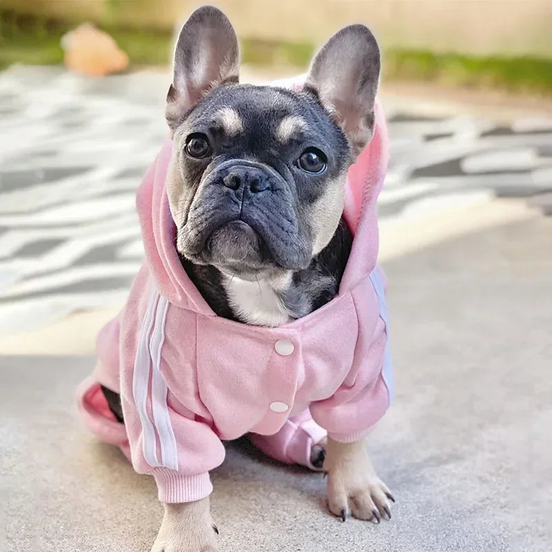 Pet "Adidog" Hooded Outfit