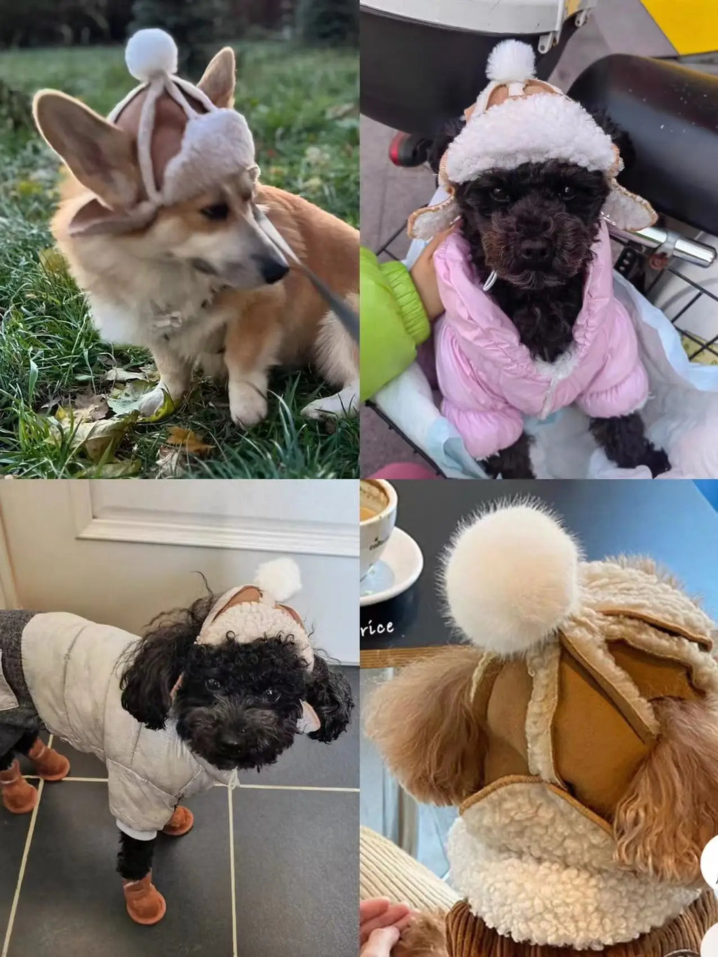 Pet Ear-popping adjustable Warm Hat