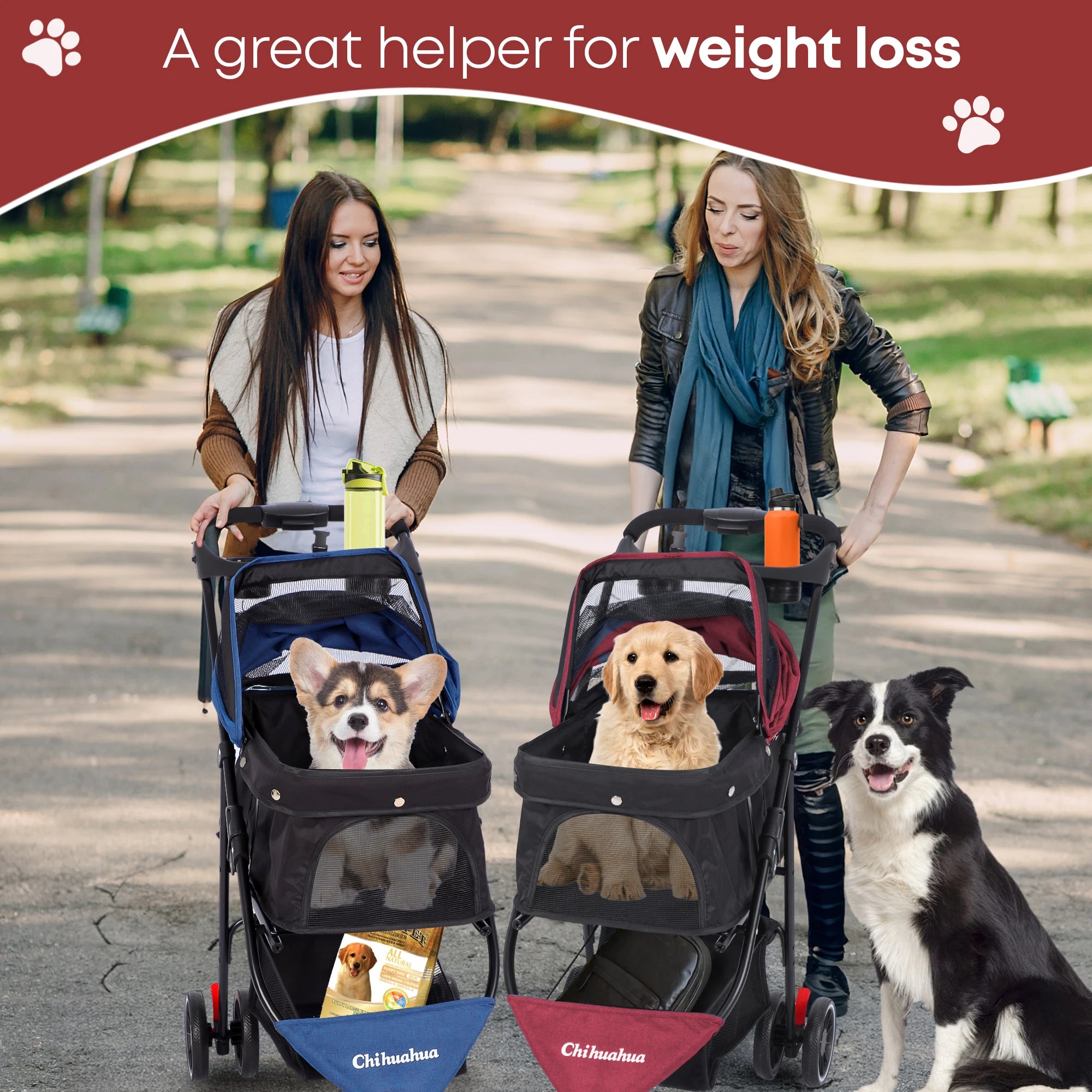Pet Stroller For Small Medium Cats & Dogs