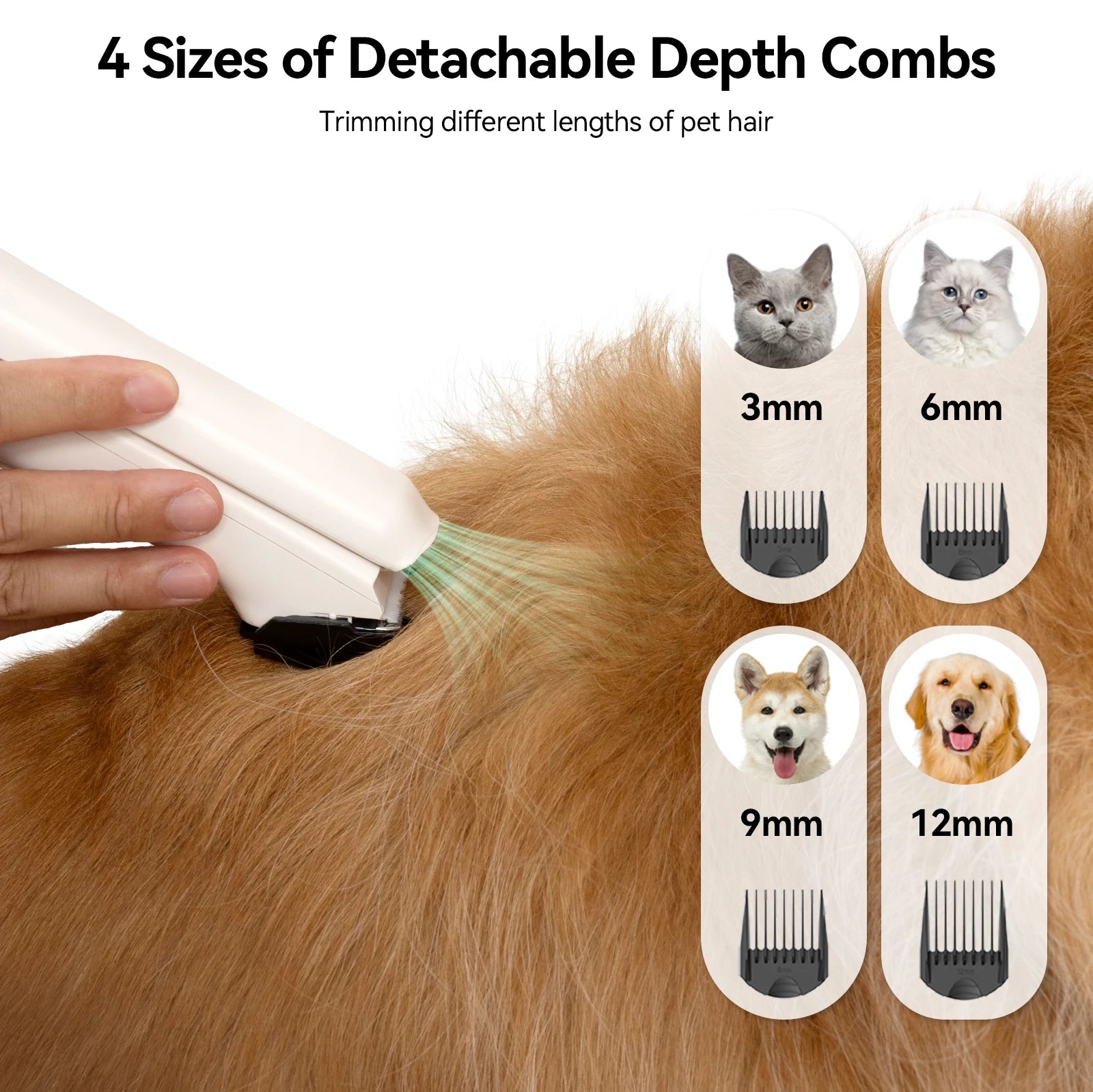 Pet Grooming, Vacuum Cleaner & Hair Dryer