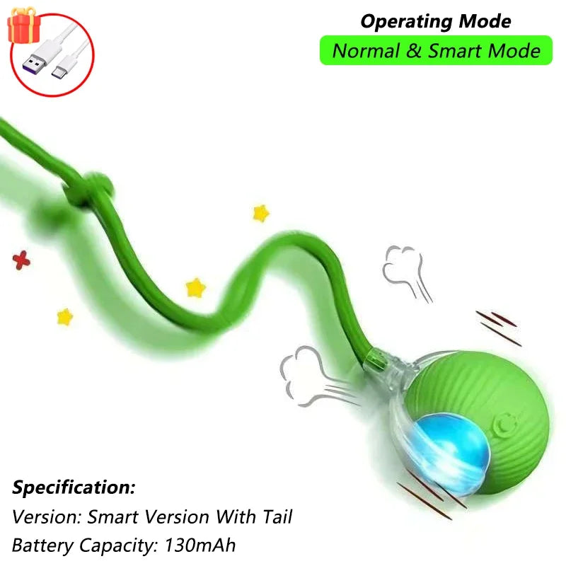 Rechargeable Smart Pet Interactive Toy