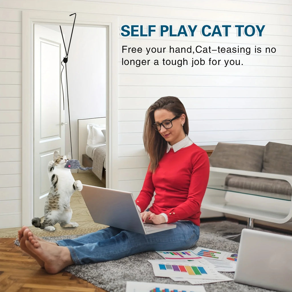 Cat Door Hanging Toy Stress Relieve