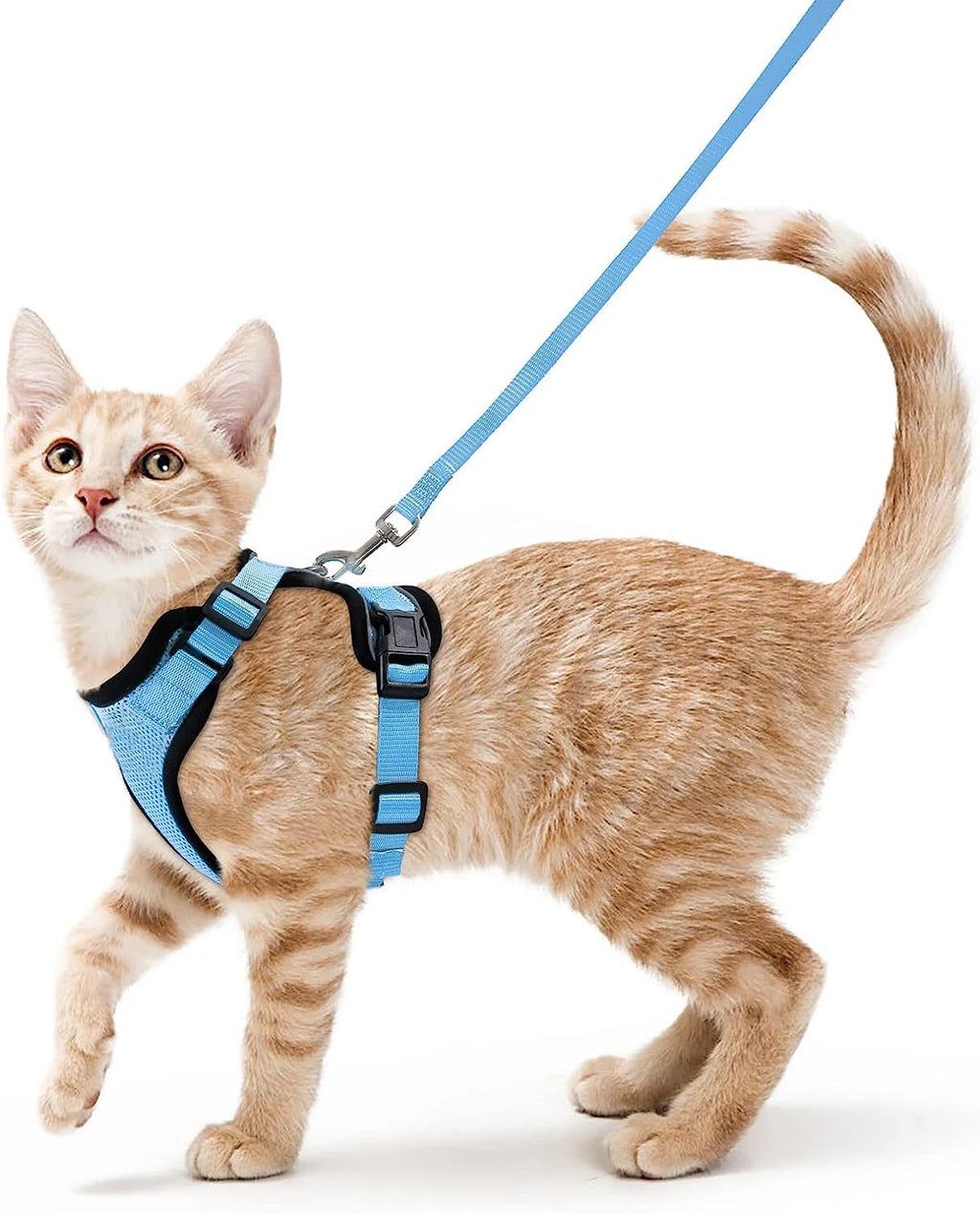 Pet Harness and Leash for Walking