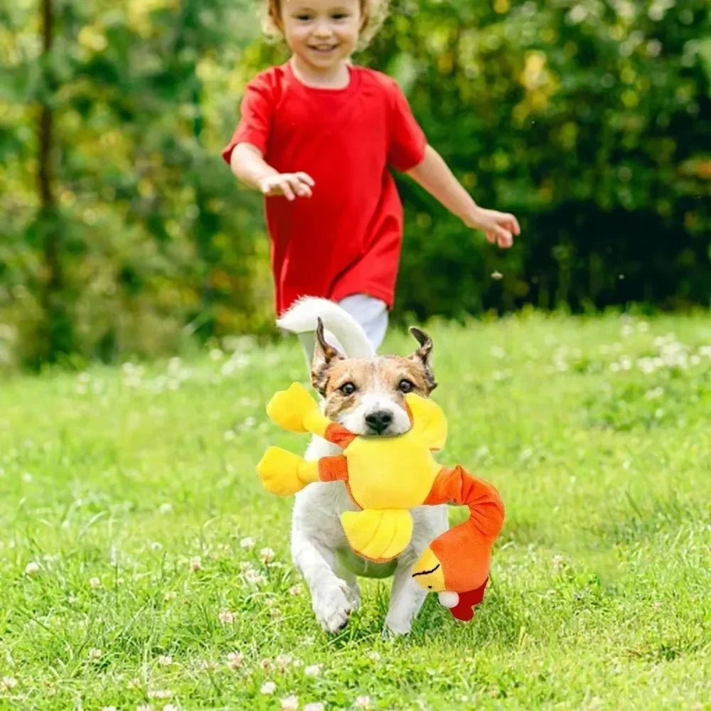 Dog teeth grinding screaming chicken toy