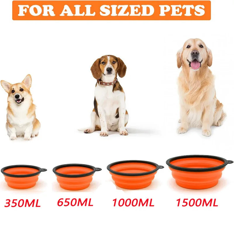 Folding  Dog Cat Bowl