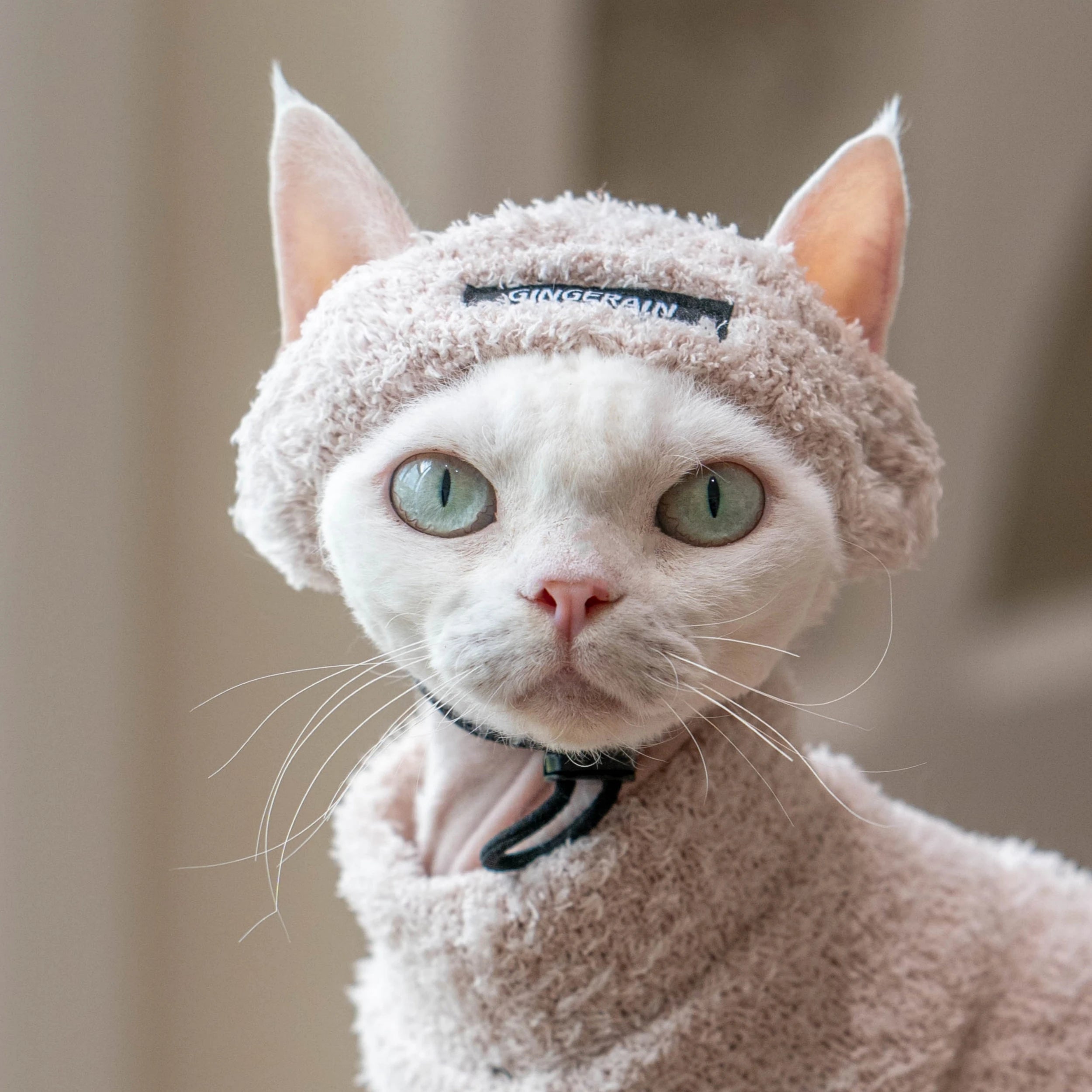 Pet Fashion Warm Hat