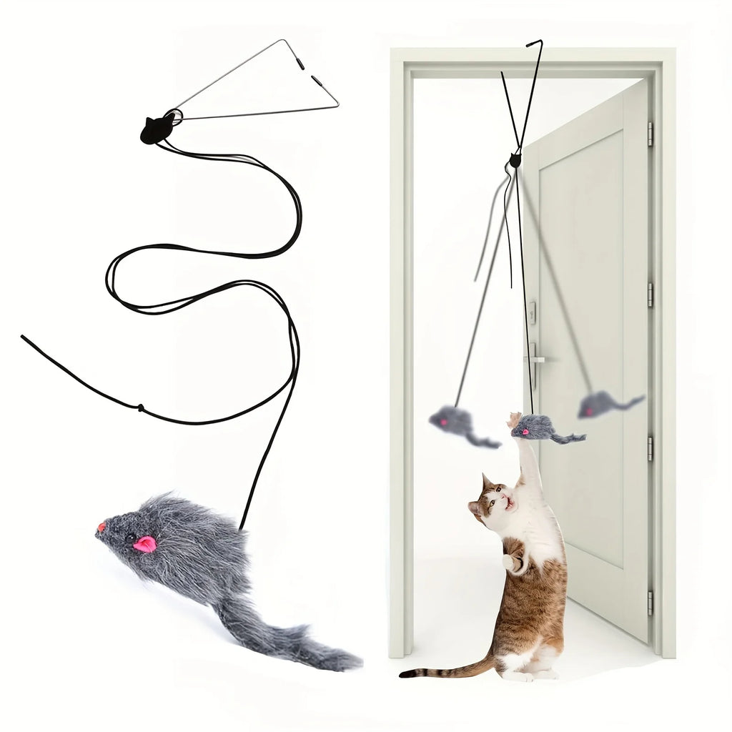 Cat Door Hanging Toy Stress Relieve