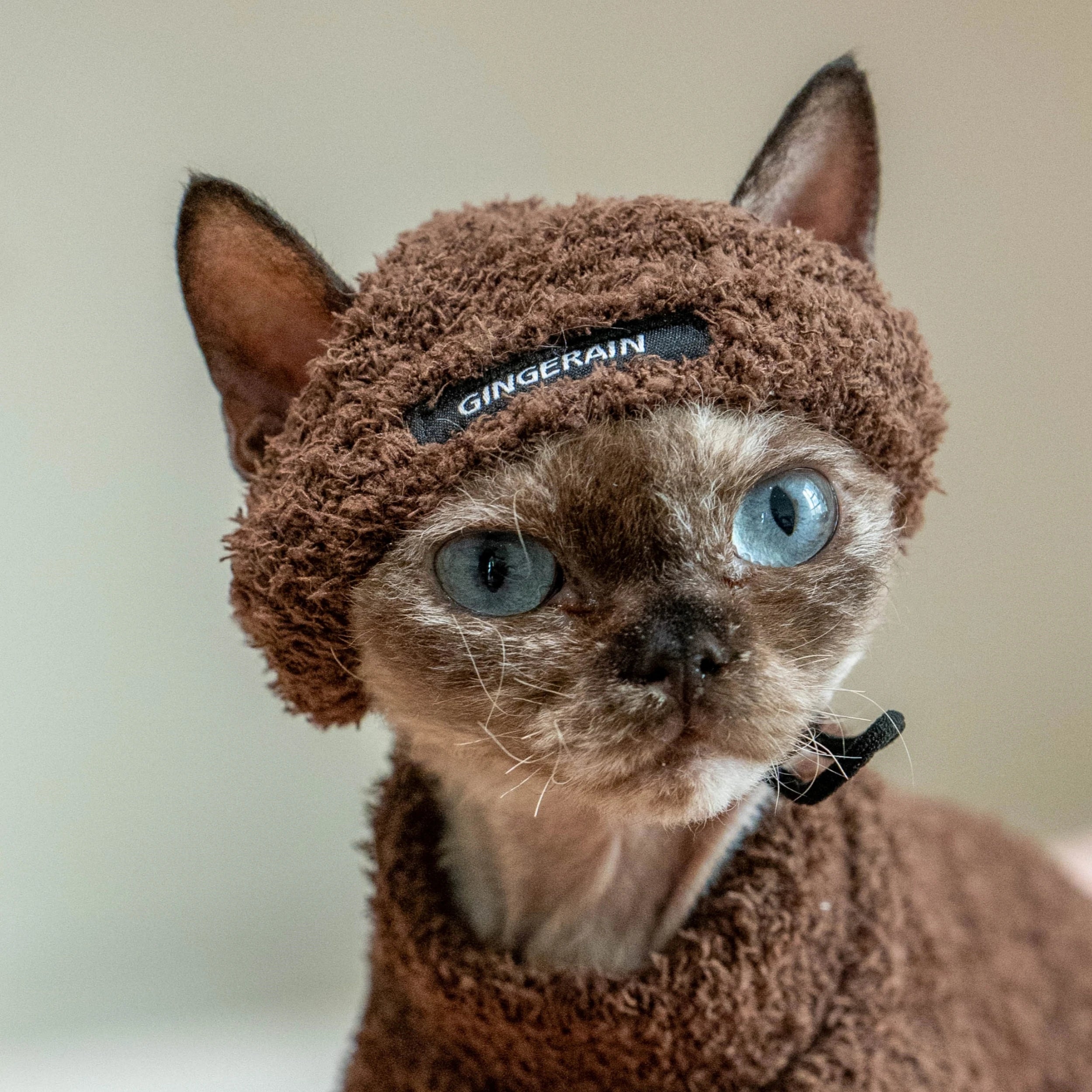 Pet Fashion Warm Hat