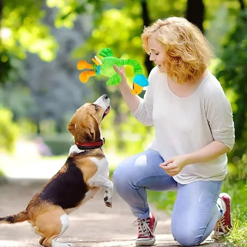 Dog teeth grinding screaming chicken toy