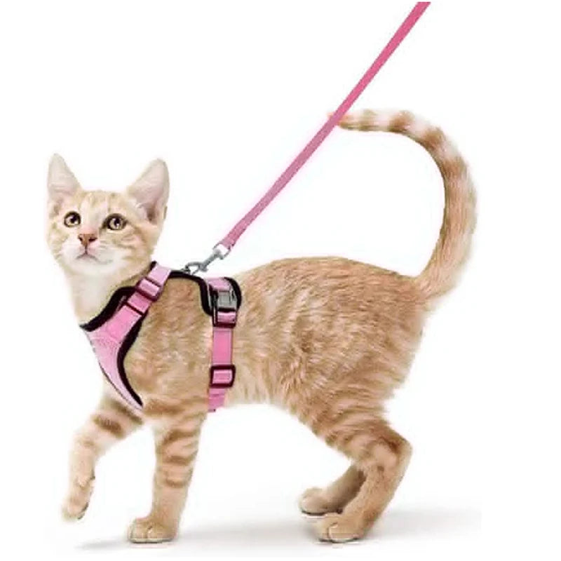 Pet Harness and Leash for Walking