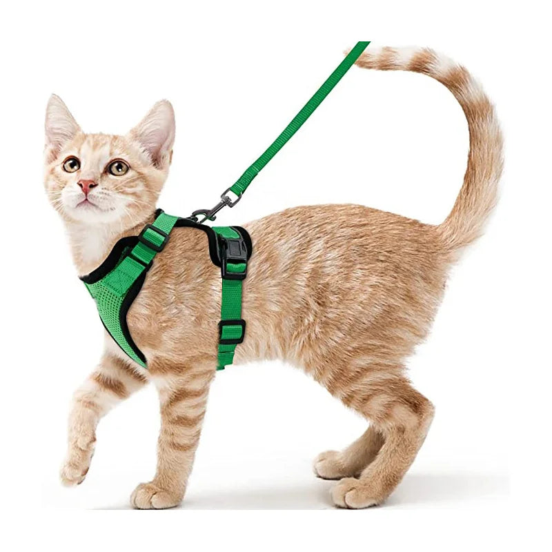 Pet Harness and Leash for Walking