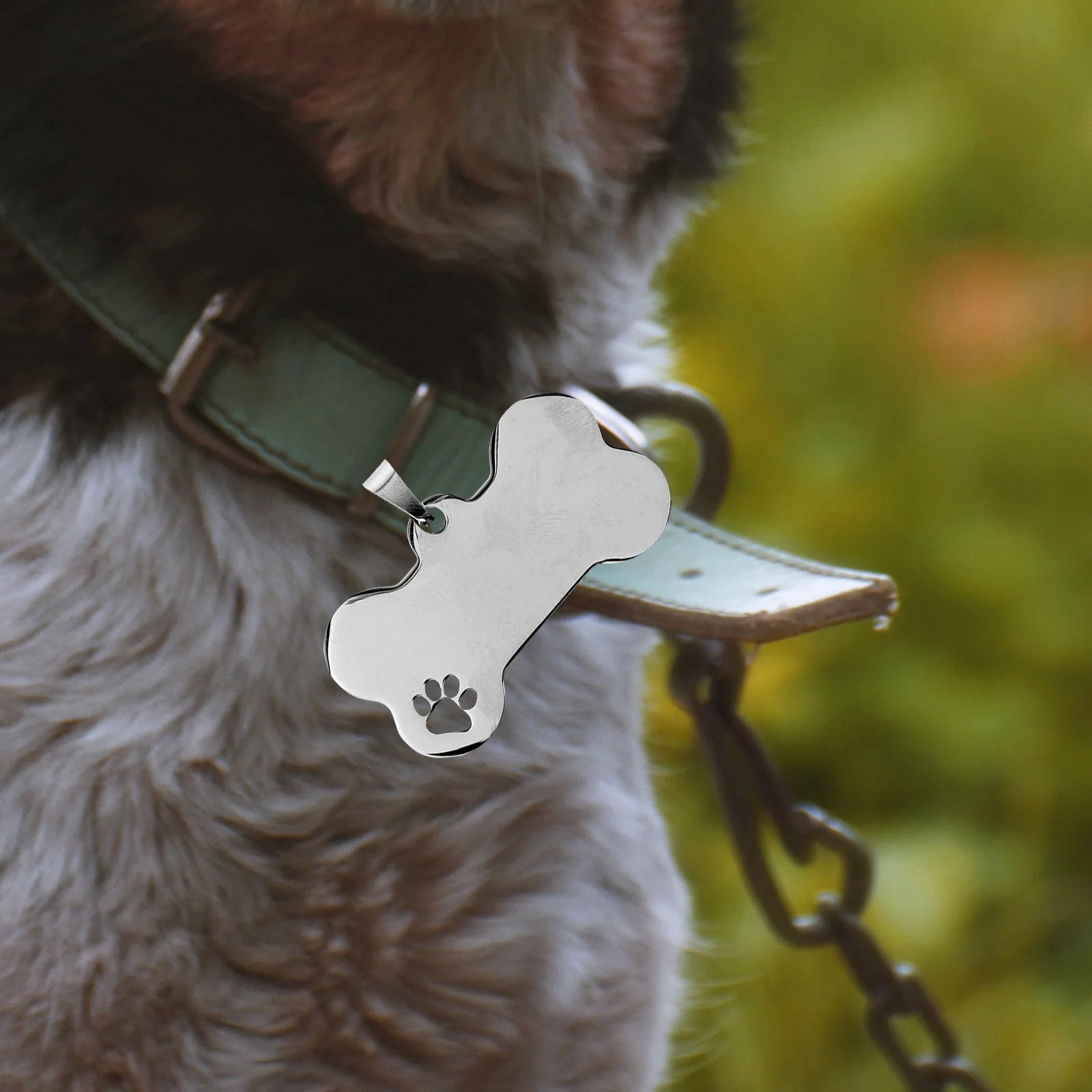 Pet Tags Personalized