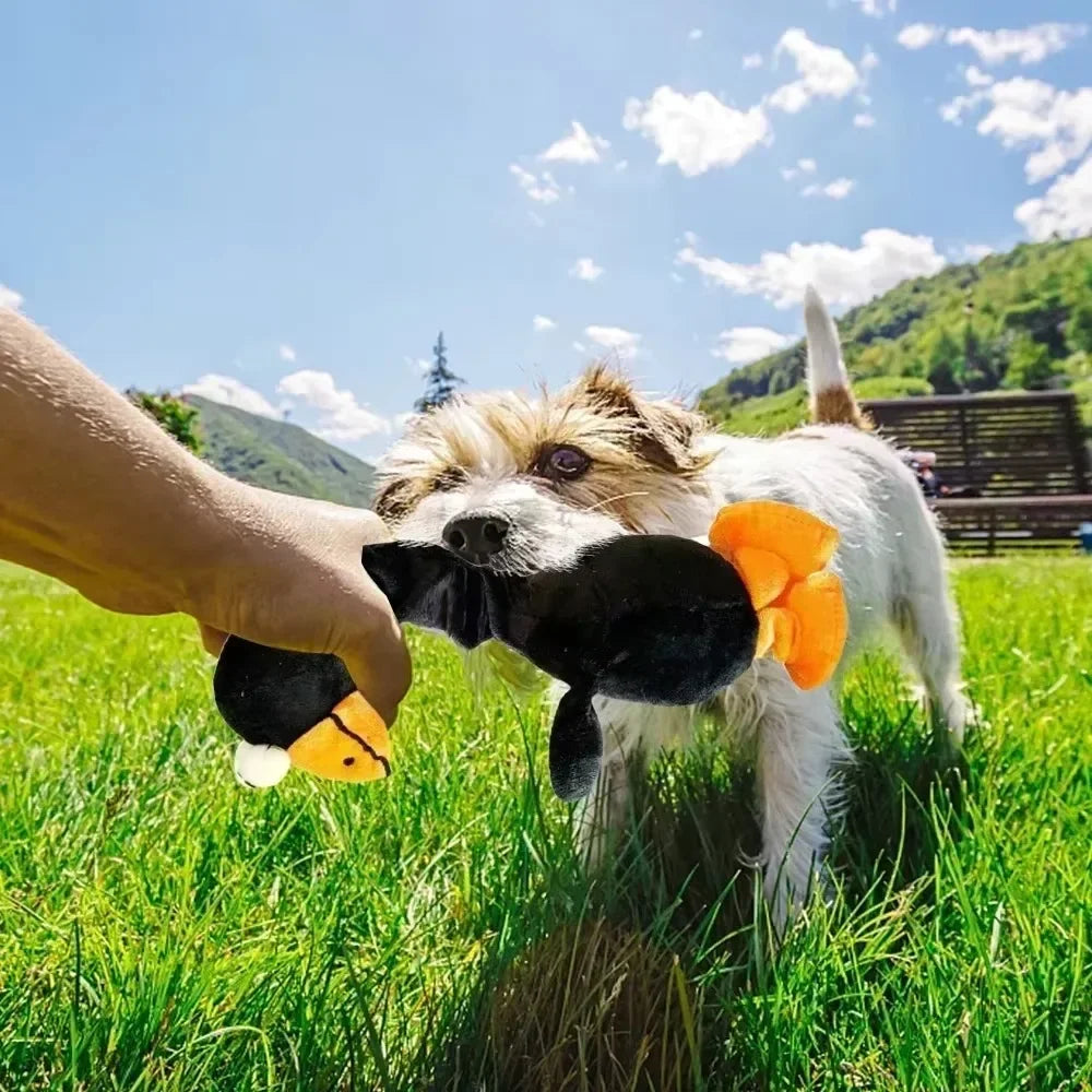 Dog teeth grinding screaming chicken toy