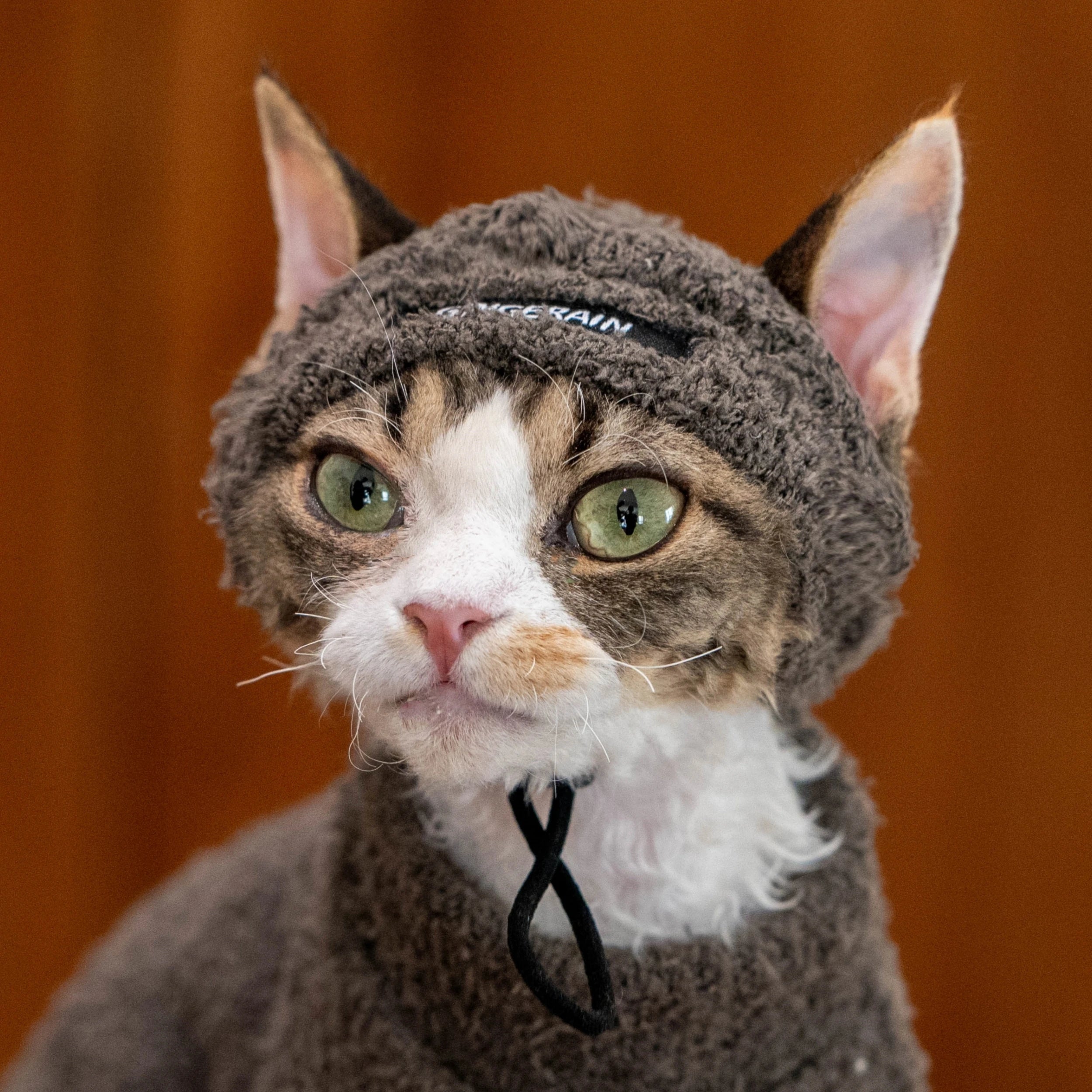 Pet Fashion Warm Hat