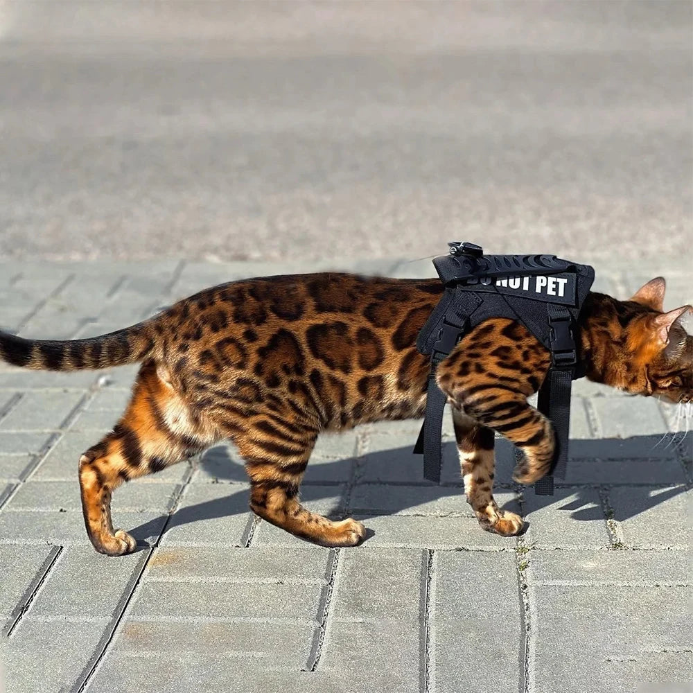 Pet Tactical Harness Traction Strap