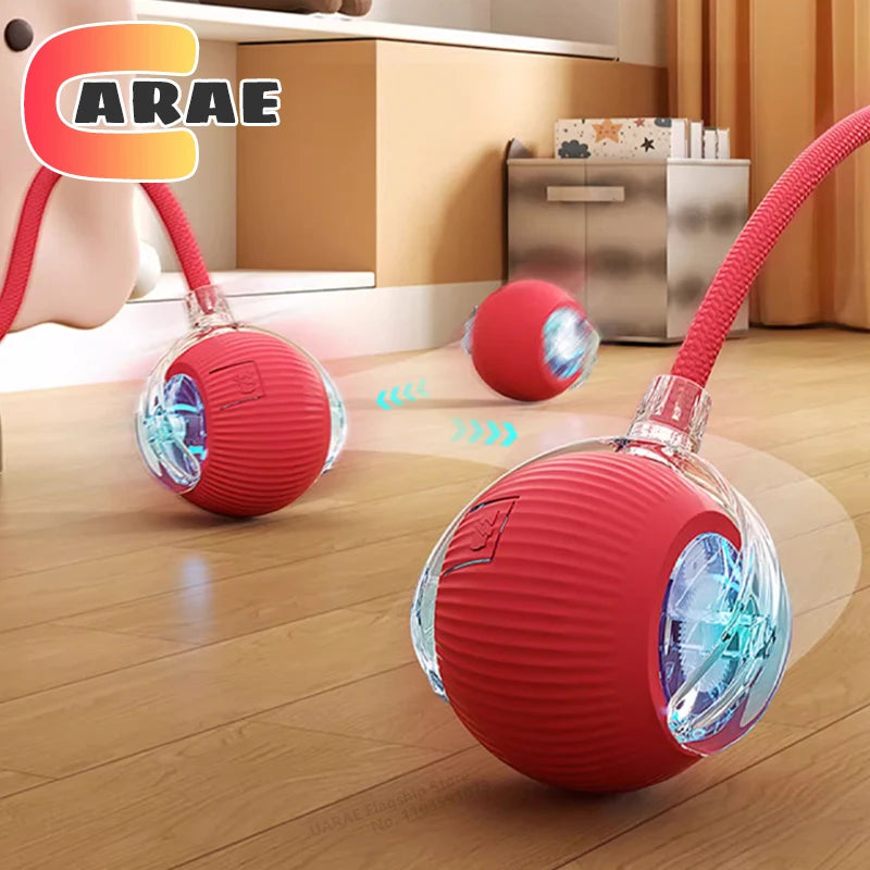 Rechargeable Smart Pet Interactive Toy