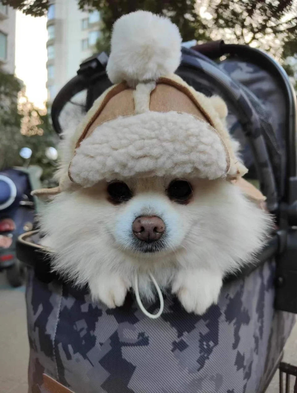 Pet Ear-popping adjustable Warm Hat