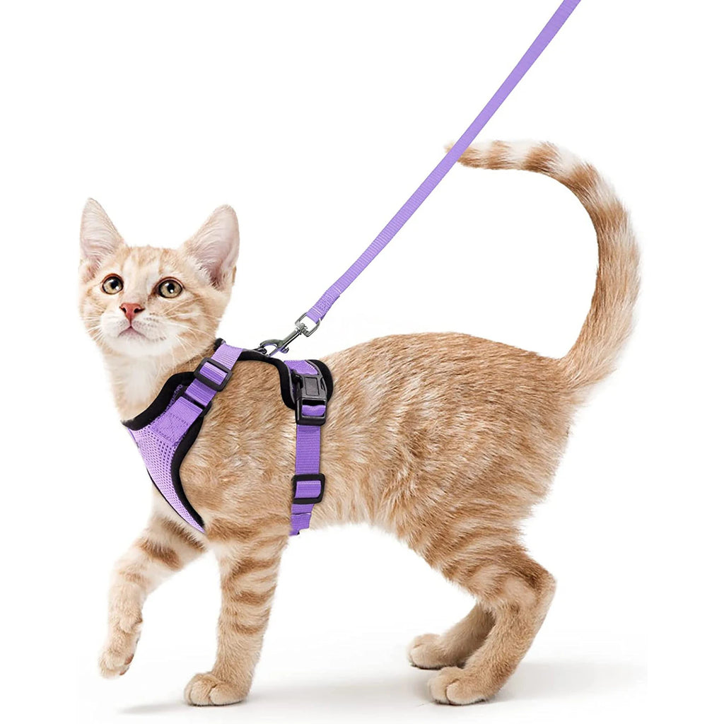 Pet Harness and Leash for Walking