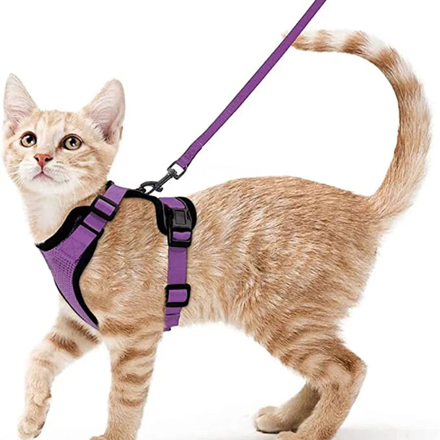 Pet Harness and Leash for Walking