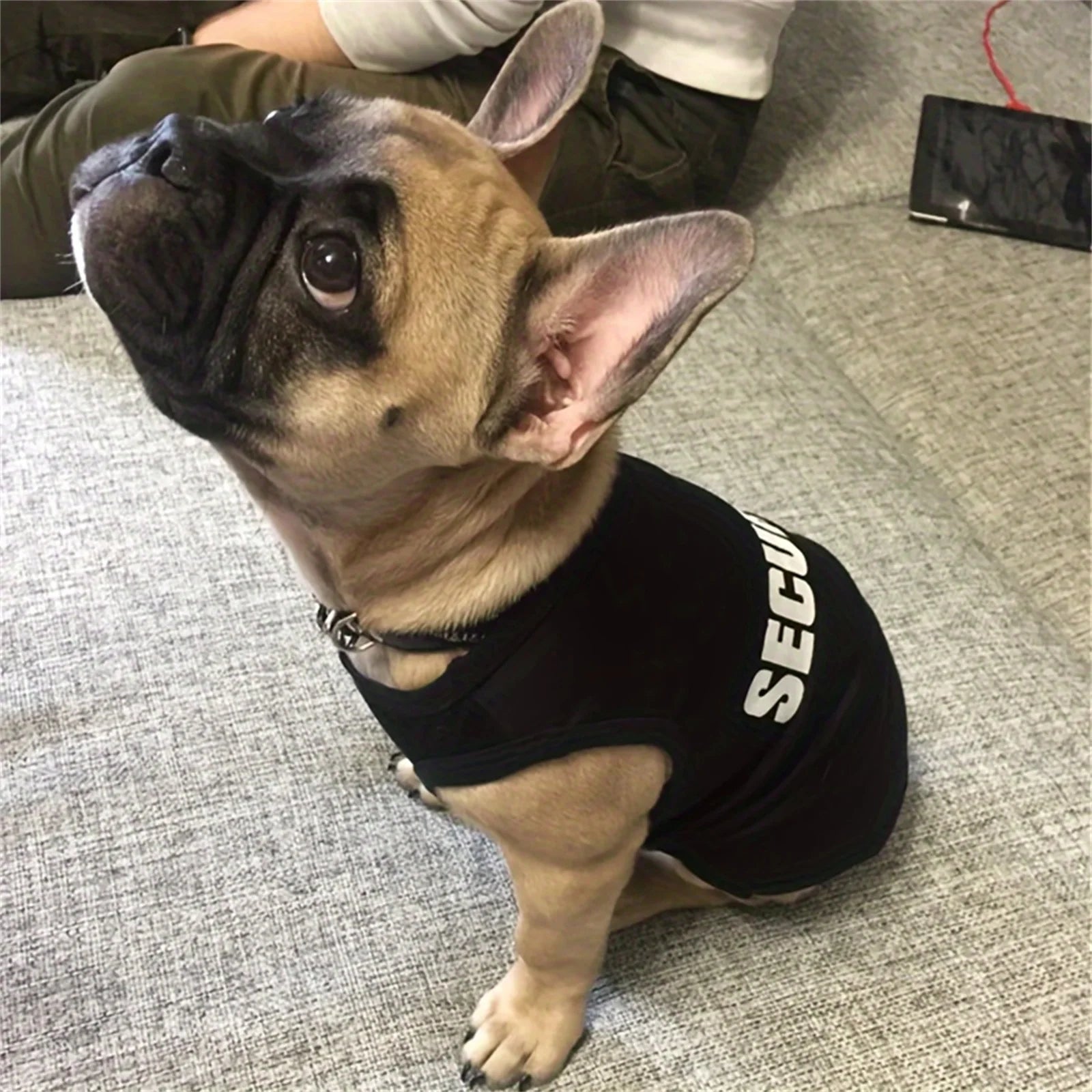 Pet T-shirt with the word Security on it