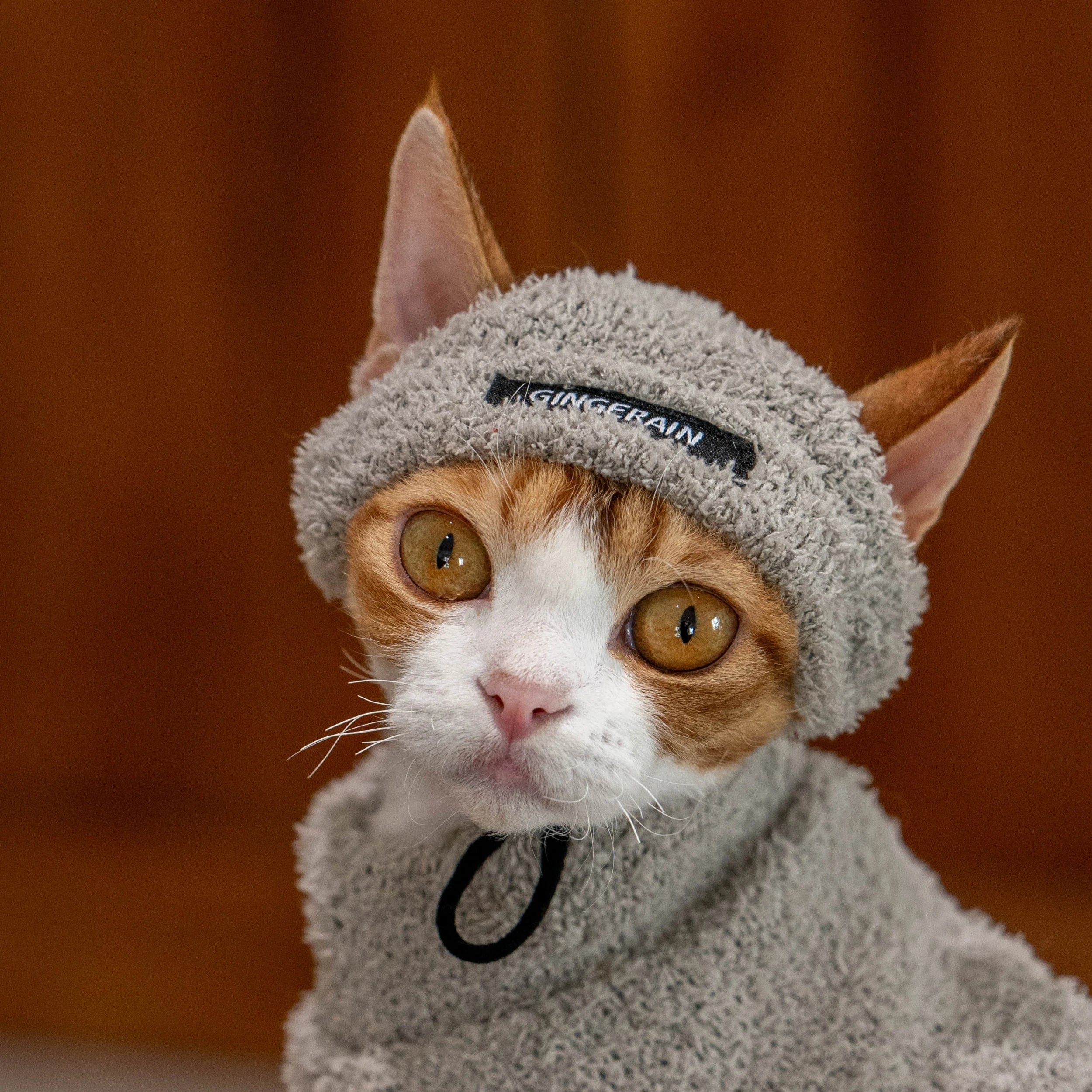 Pet Fashion Warm Hat