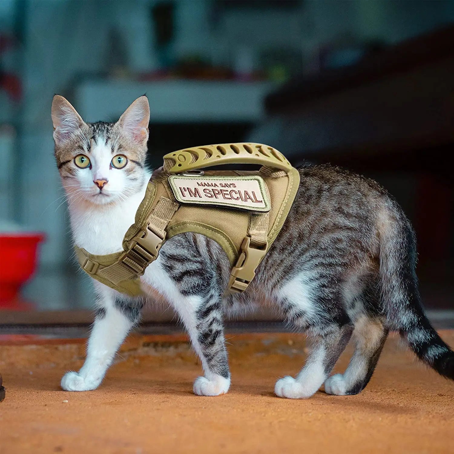 Tactical Cat Harness For Walking
