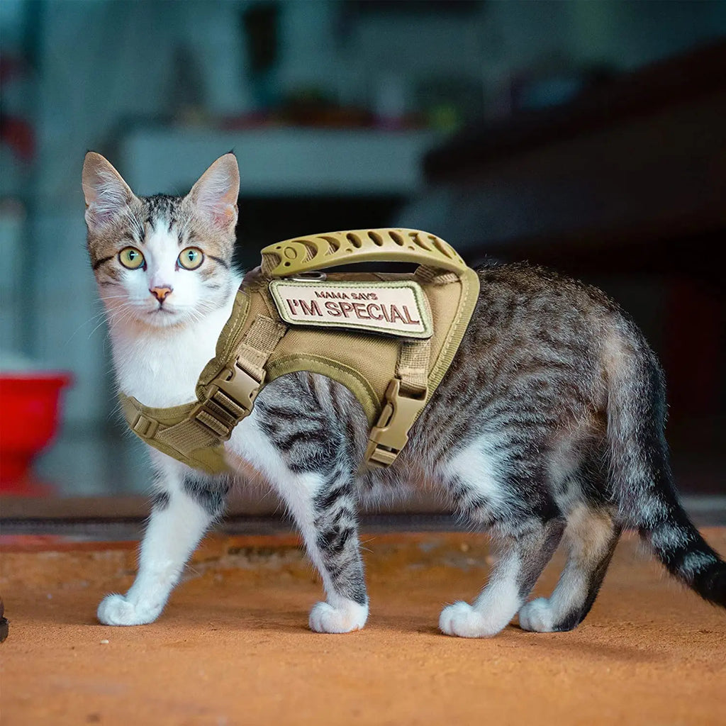Tactical Cat Harness For Walking