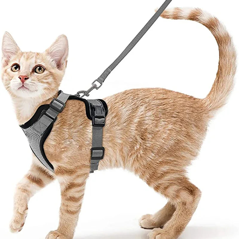 Pet Harness and Leash for Walking