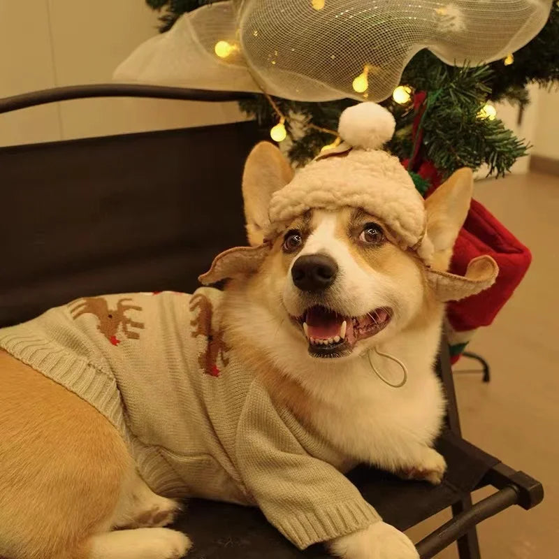Pet Ear-popping adjustable Warm Hat