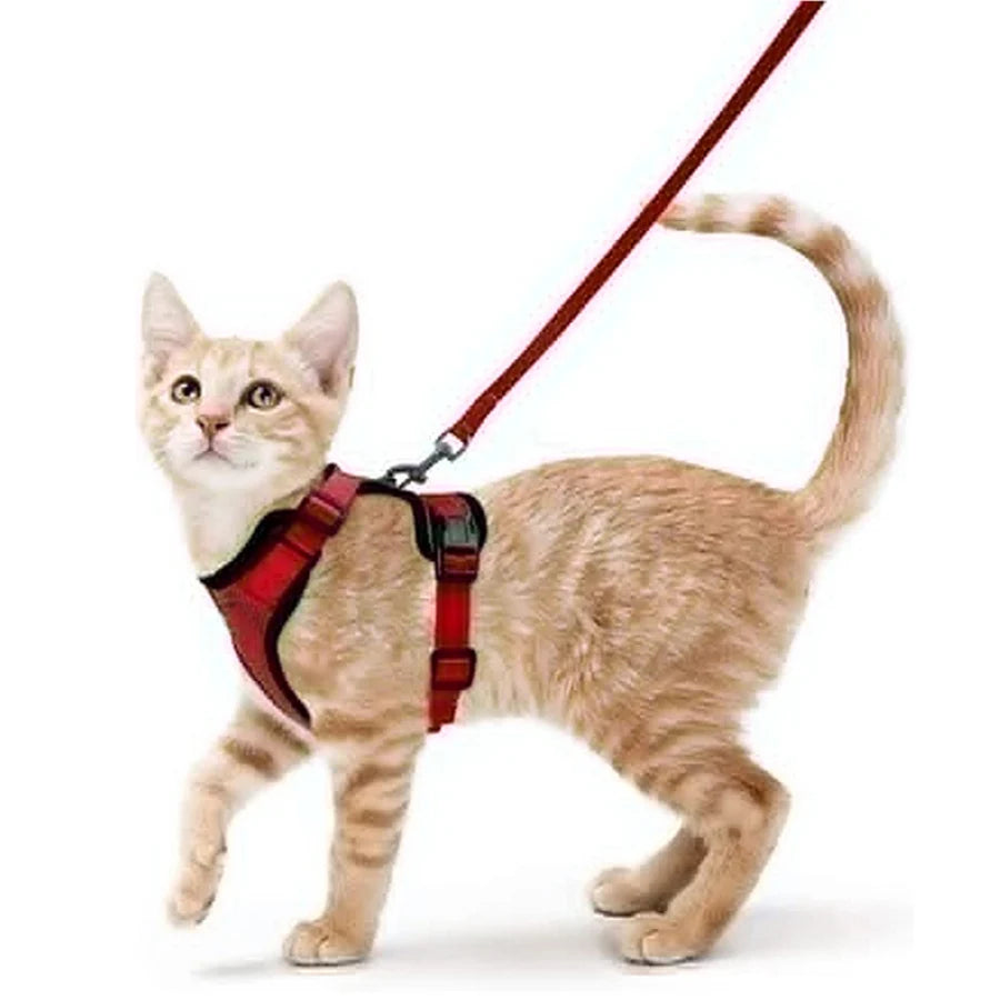 Pet Harness and Leash for Walking