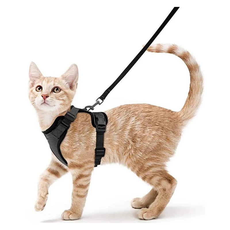 Pet Harness and Leash for Walking