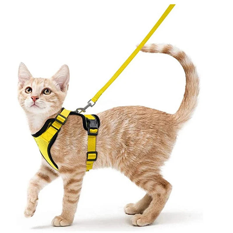 Pet Harness and Leash for Walking