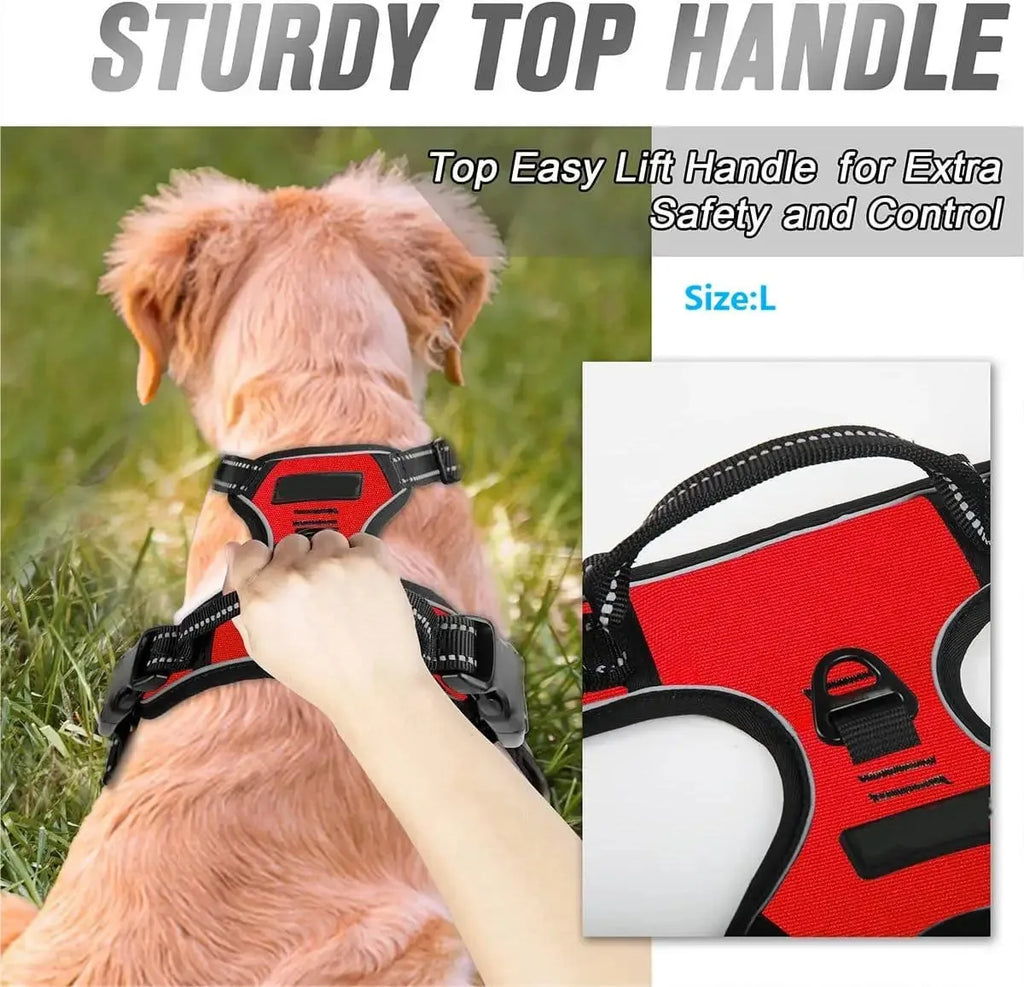 Dog Collars Harness Big Vests